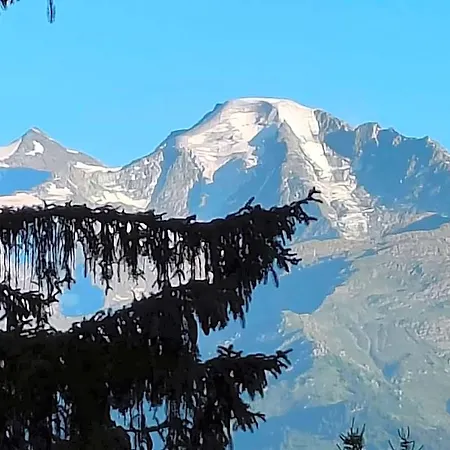Arche De Noe * Verbier