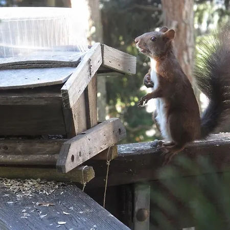 Nocleg ze śniadaniem Arche De Noe Verbier