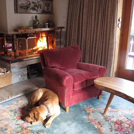 Bed & Breakfast Arche De Noe B&B *