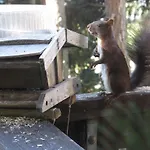 Frühstückspension Arche De Noé Verbier