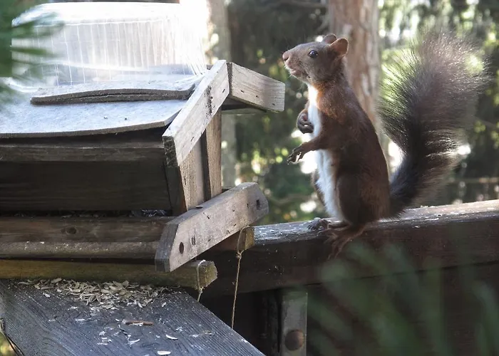 Bed & Breakfast Arche De Noe B&B Verbier