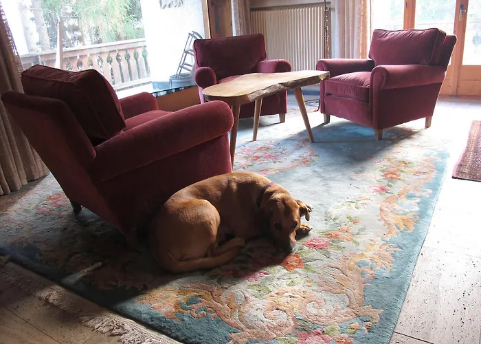 Arche De Noe B&B Verbier