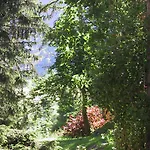Arche De Noé