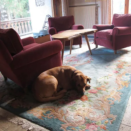 Arche De Noe Verbier